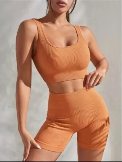 Conjunto Fit Academia Poliamida SB